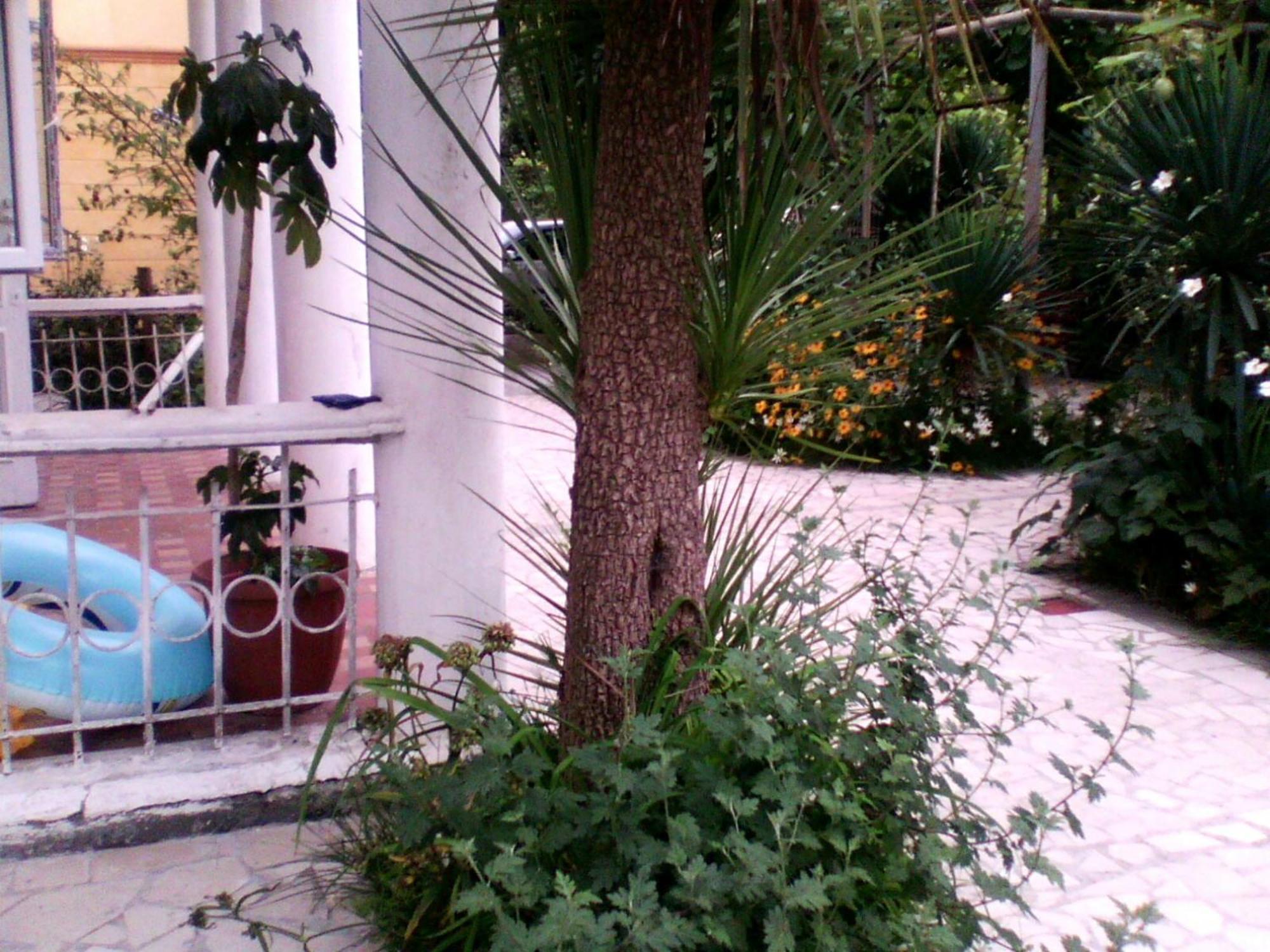 White Guest House Batumi Eksteriør bilde